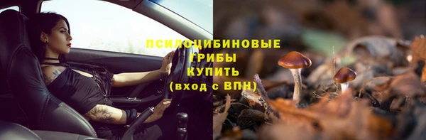 амф Белокуриха