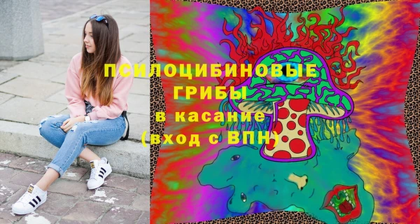 соль ск Богородск