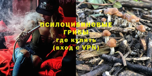соль ск Богородск