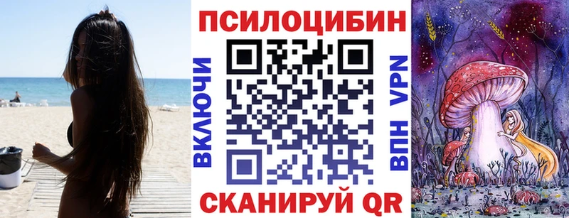 блэк спрут tor  Малмыж  Галлюциногенные грибы Cubensis 